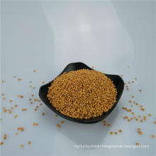 white / red / yellow / black broomcorn millet for bird feeds